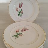 Plates Dessert Cake Old Earthenware Moulin des Loups Orchies Tulip Model