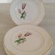 Plates Dessert Cake Old Earthenware Moulin des Loups Orchies Tulip Model