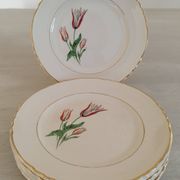Plates Dessert Cake Old Earthenware Moulin des Loups Orchies Tulip Model