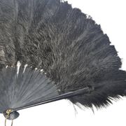 Art Deco Polish Austria feather fan, 1920s