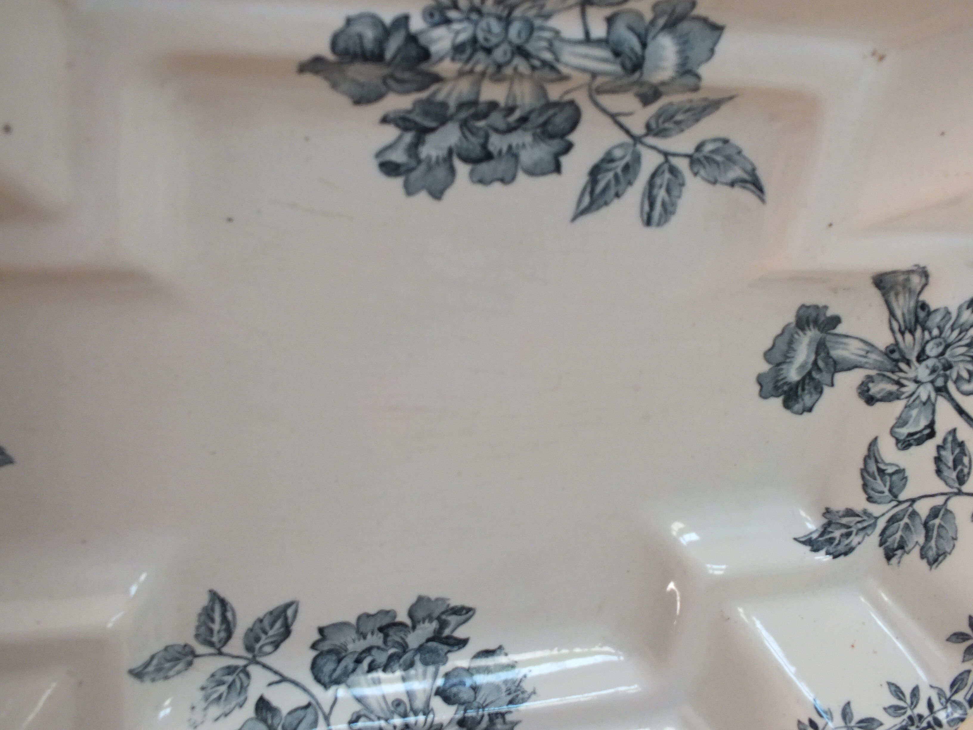 Asparagus dish in Iron Earth XIXth Clairefontaine Colbert