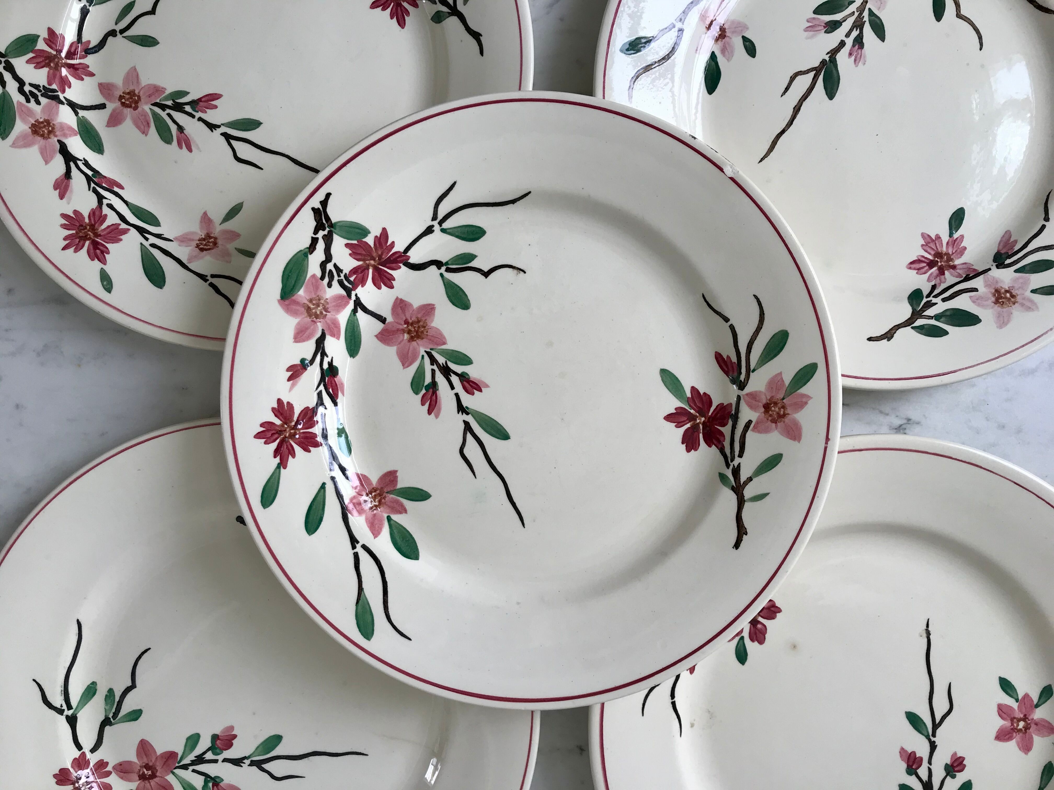 5 flat plates Digoin Sarreguemines model Aigues-Vives hand painted years 30-40