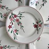 5 flat plates Digoin Sarreguemines model Aigues-Vives hand painted years 30-40