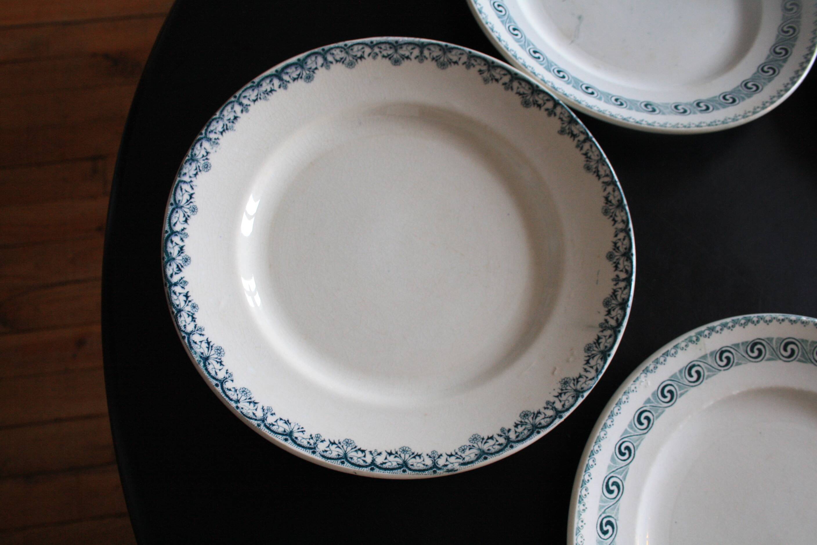 Set of 5 ironstone plates Moulin des Loups & Hamage