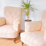 Lot 2 armchairs English / Vintage toad