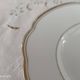 Oval plate in white Swiss porcelain double gilded border "VSK USC Viribus Unitis"