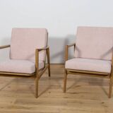 Fauteuils Modèle 300-139 Mid-Century de Swarzędzka Factory, 1960s, Set de 2