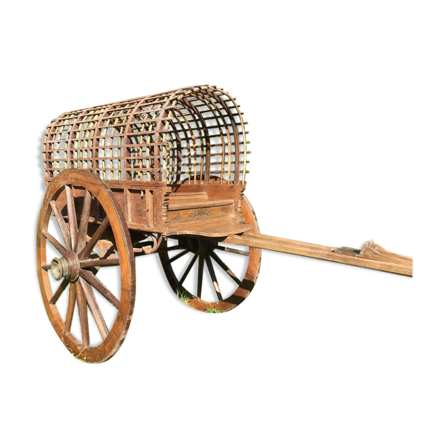 Kerala cart