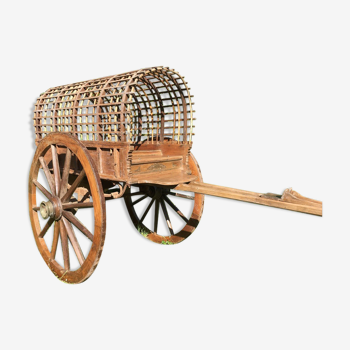 Kera's cart