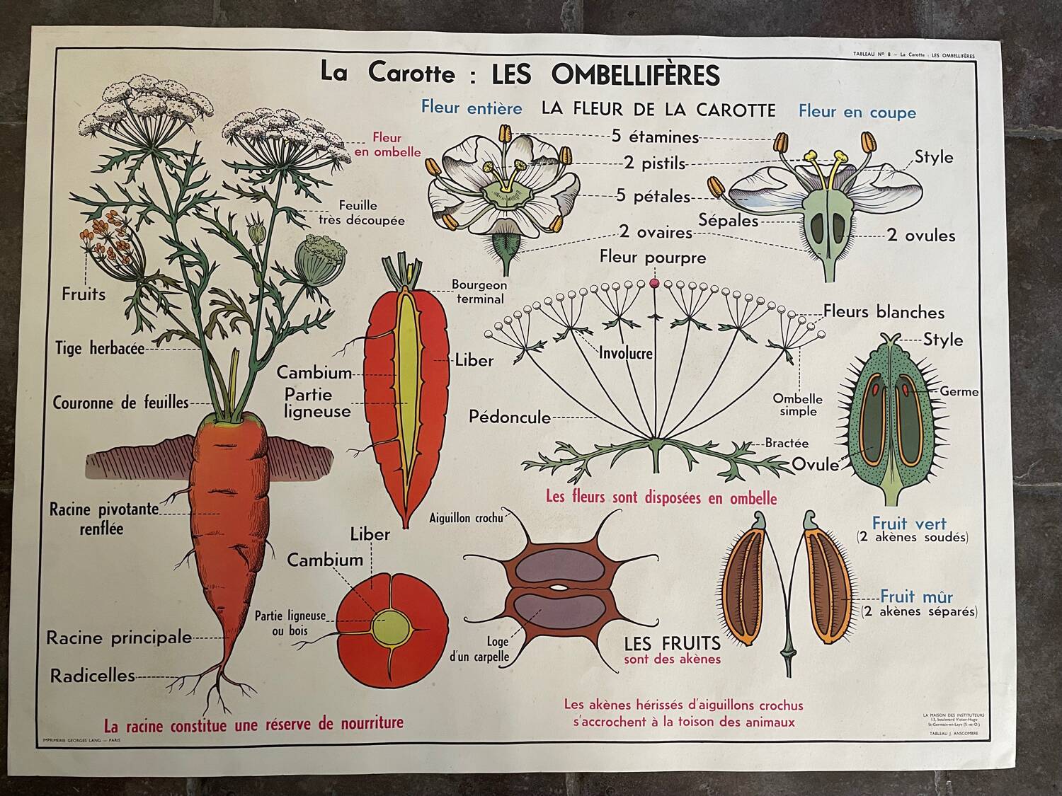 Old school educational poster, school