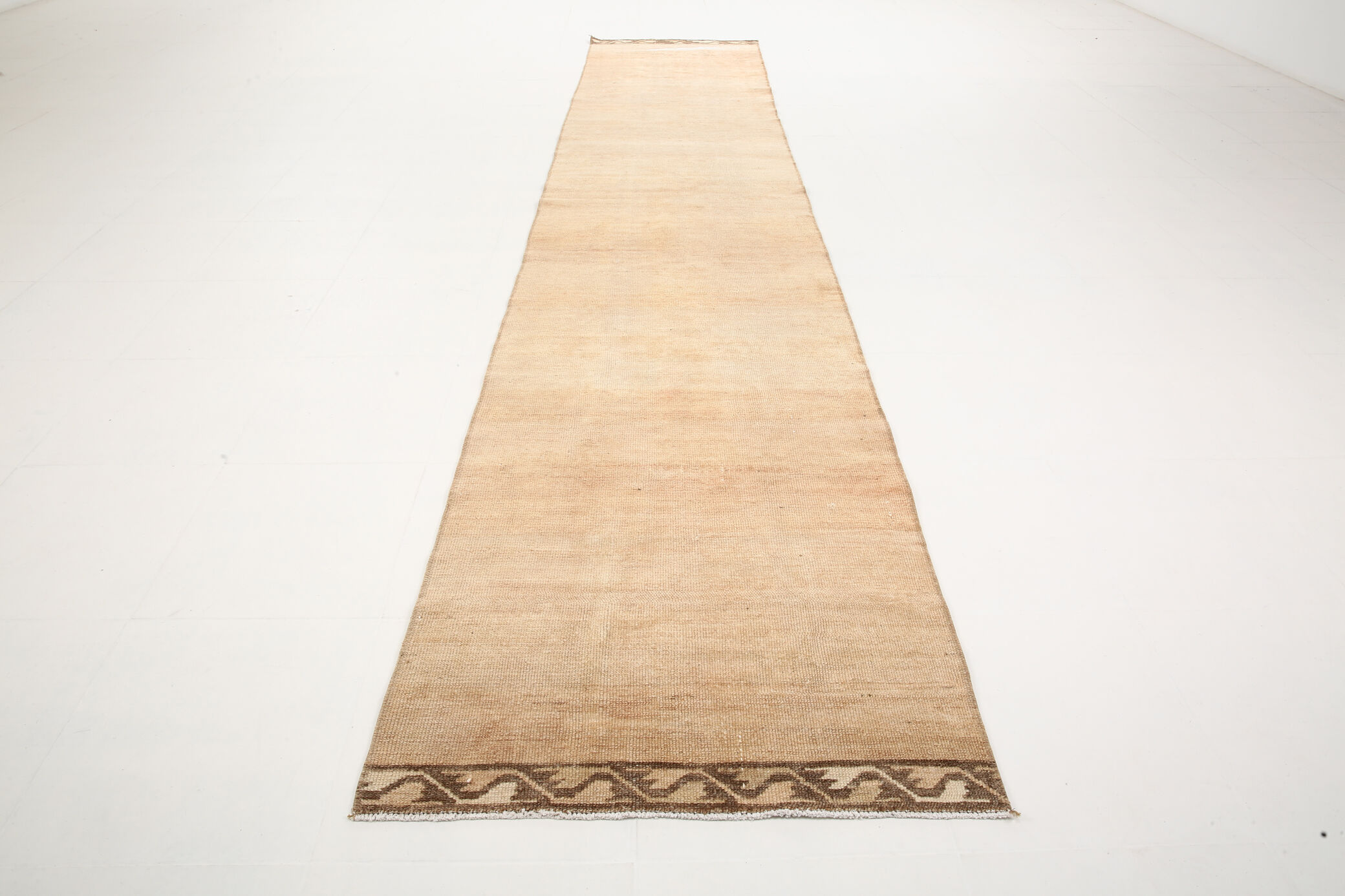 3x14 Vintage Extra Long Runner Rug, 85x429Cm