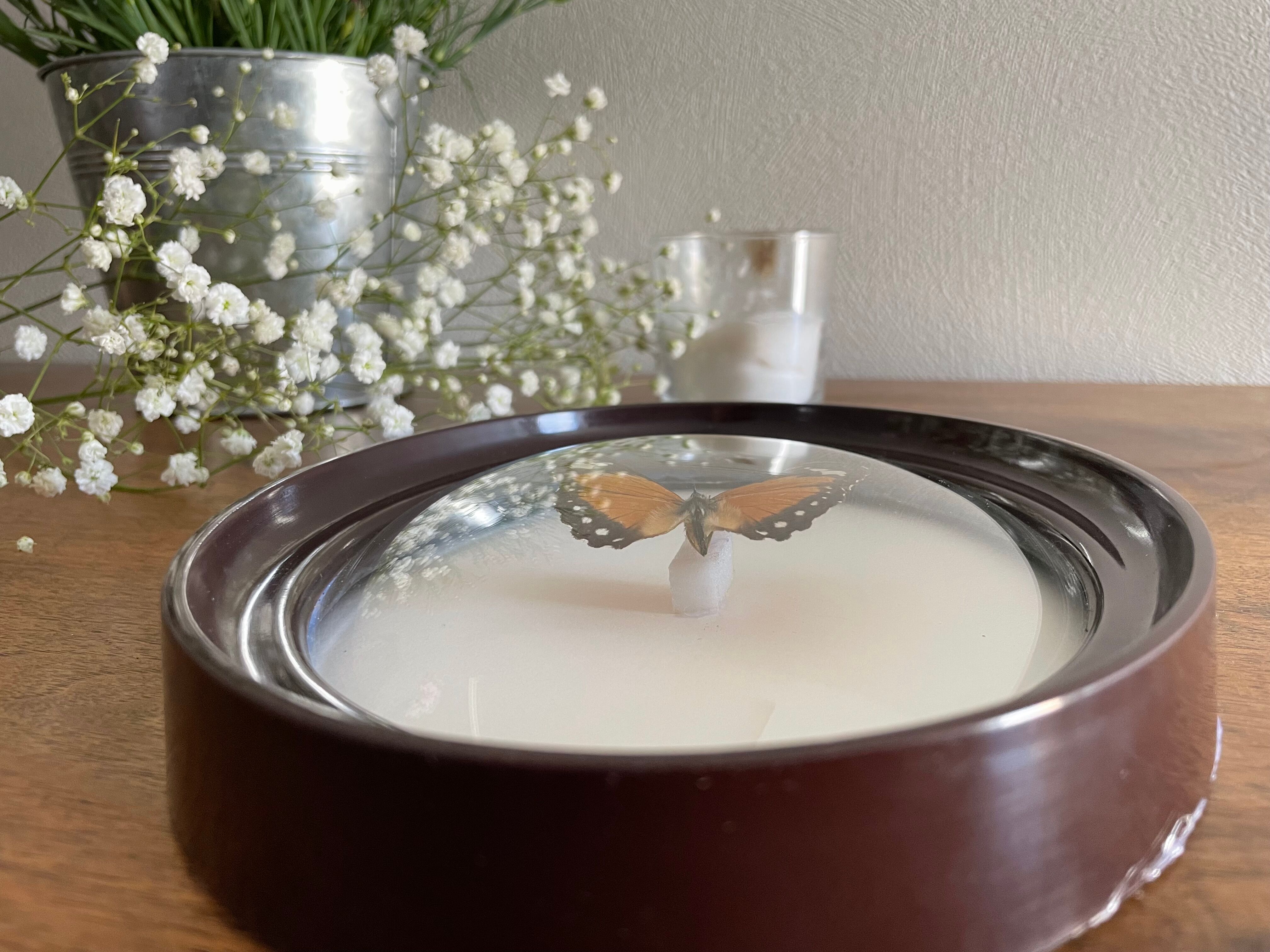 Butterfly frame naturalized curved glass