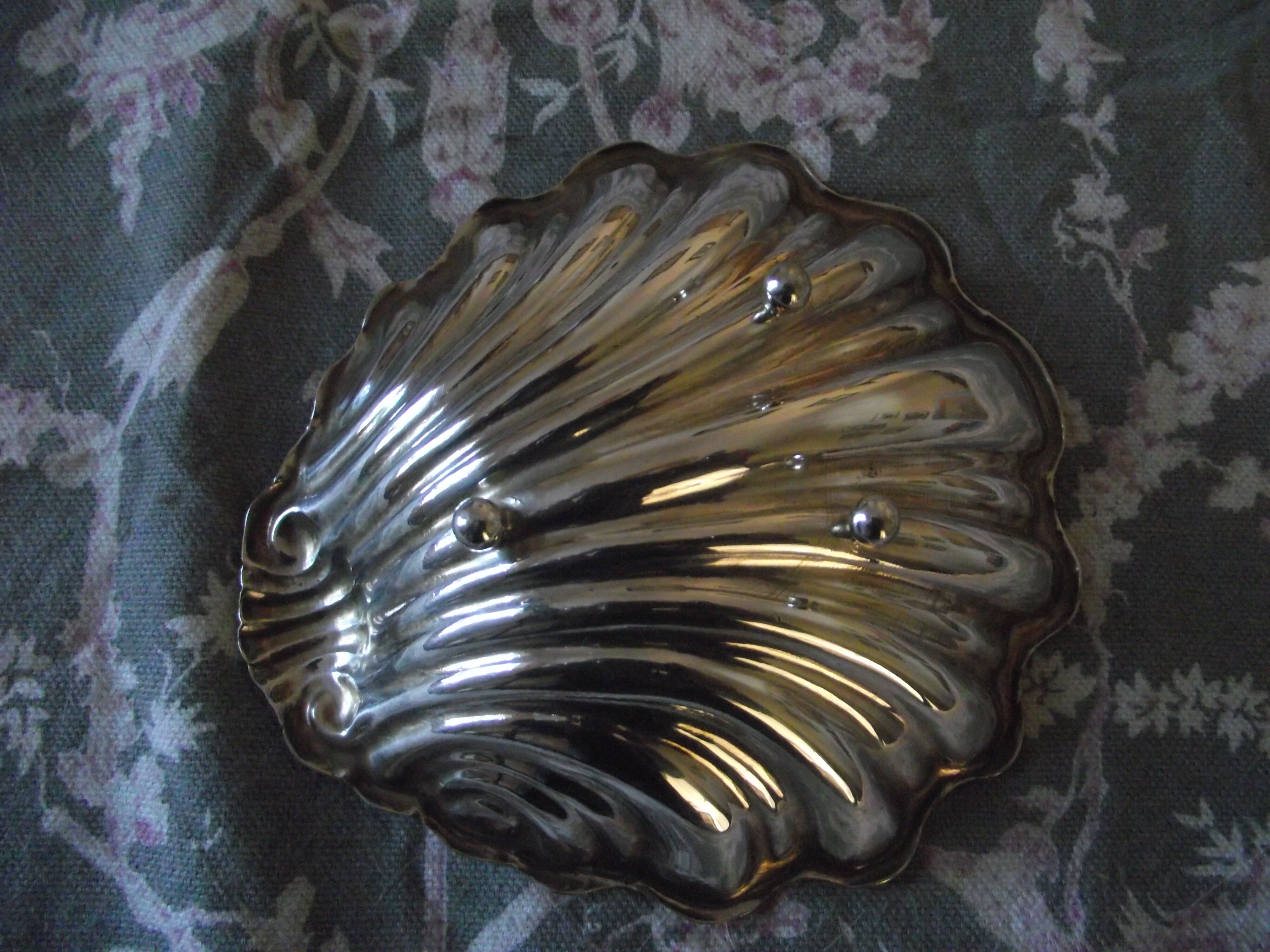 Empty shell pocket silverware solid silver 925