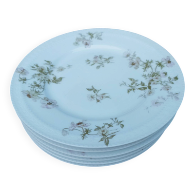 Six assiettes à dessert Haviland
