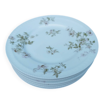 Six assiettes à dessert Haviland