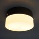 Vintage Opaline Glass Chandelier, 1950s