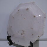 Dish