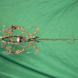 Louis XV style gilt bronze chandelier C.1900 France