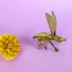 Cendrier Mouche