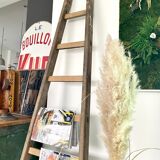 Old vintage wooden ladder