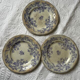 U&G Sarguemines Épine plates