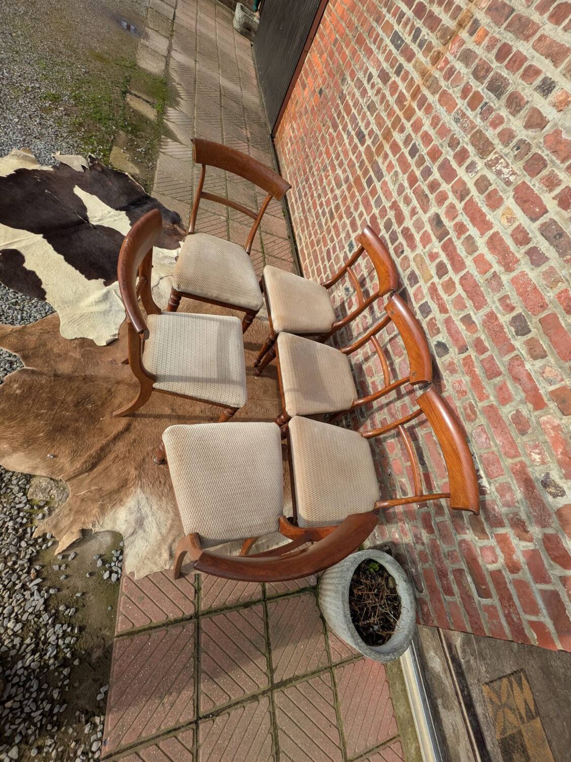 Set of mahogany chairs