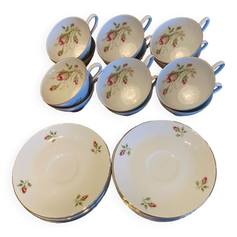 12 cups / saucer Bavaria Porcelain