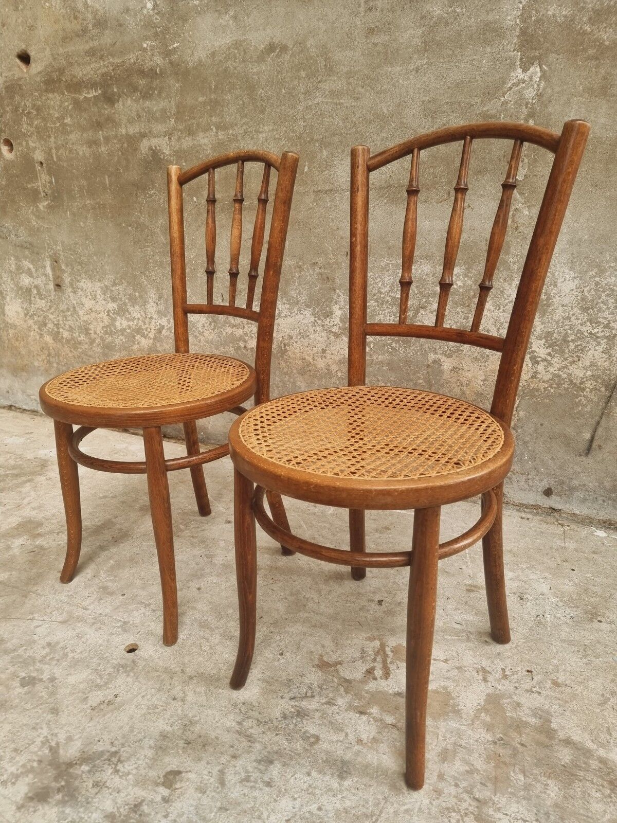 Antique chairs by Fischel