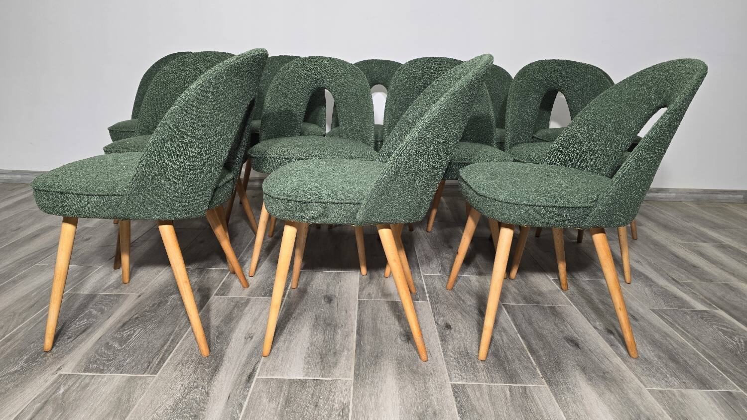 Dining Chairs by Antonin Suman, 1960s, Set of 12
