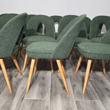 Dining Chairs by Antonin Suman, 1960s, Set of 12