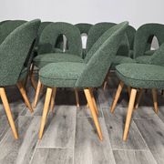 Dining Chairs by Antonin Suman, 1960s, Set of 12