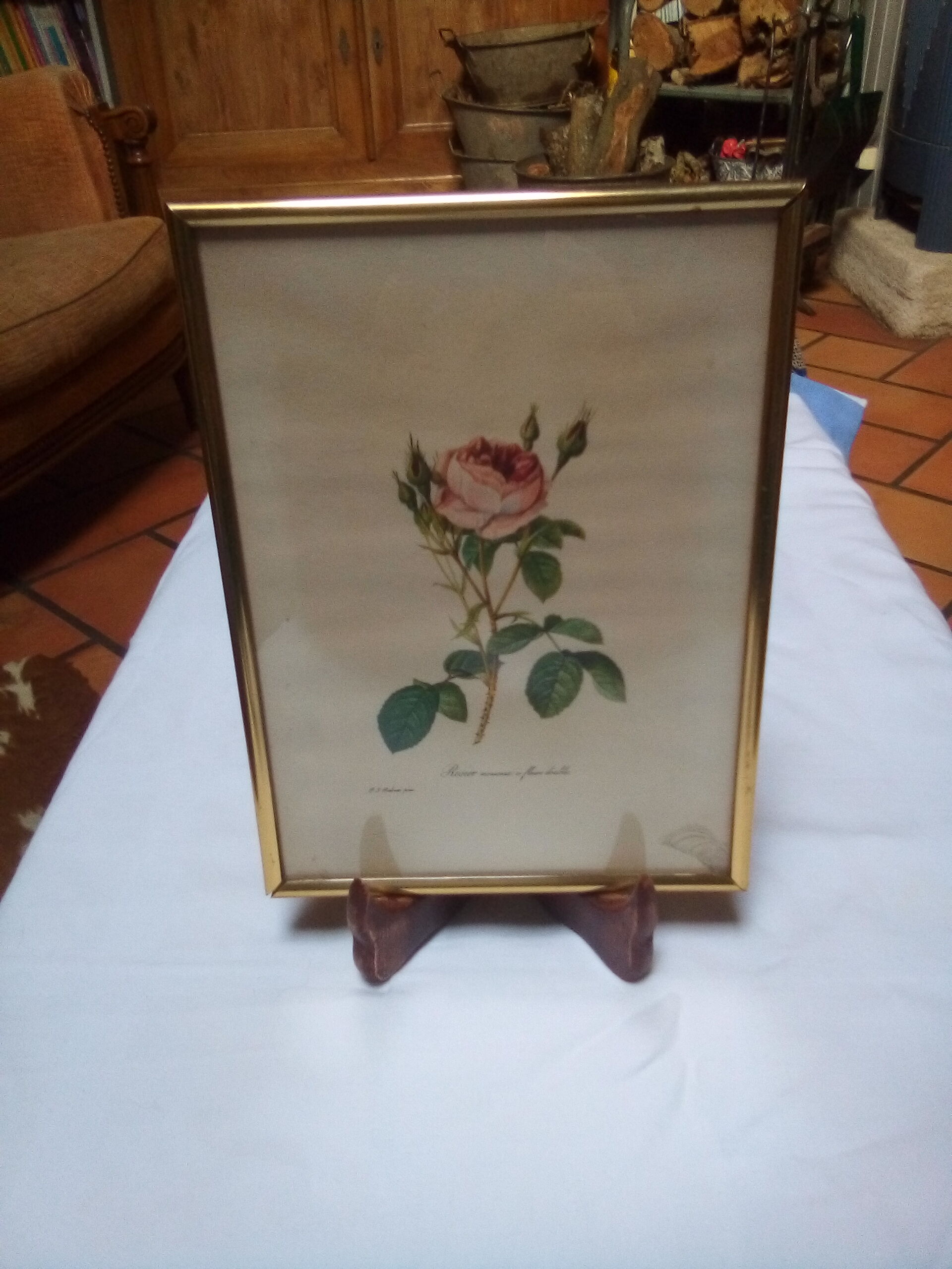 Dreaded botanical plank