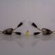 Mid-Century Modern German Wall Lamps, 1950s, Set of 2