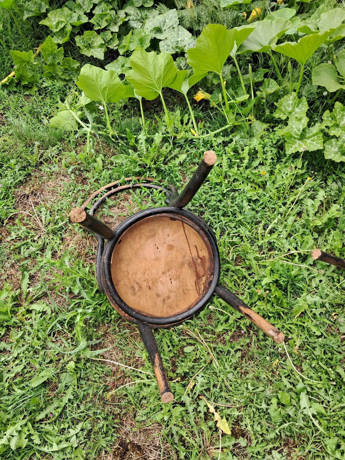 Pair of bistro-style chairs
