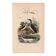 Old engraving from 1839 - Aquatic birds - zoological plate nature