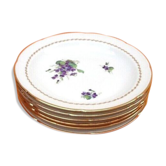 Suite of 6 hollow plates Floral decoration Limoges porcelain C.G Limoges pasta and enamels