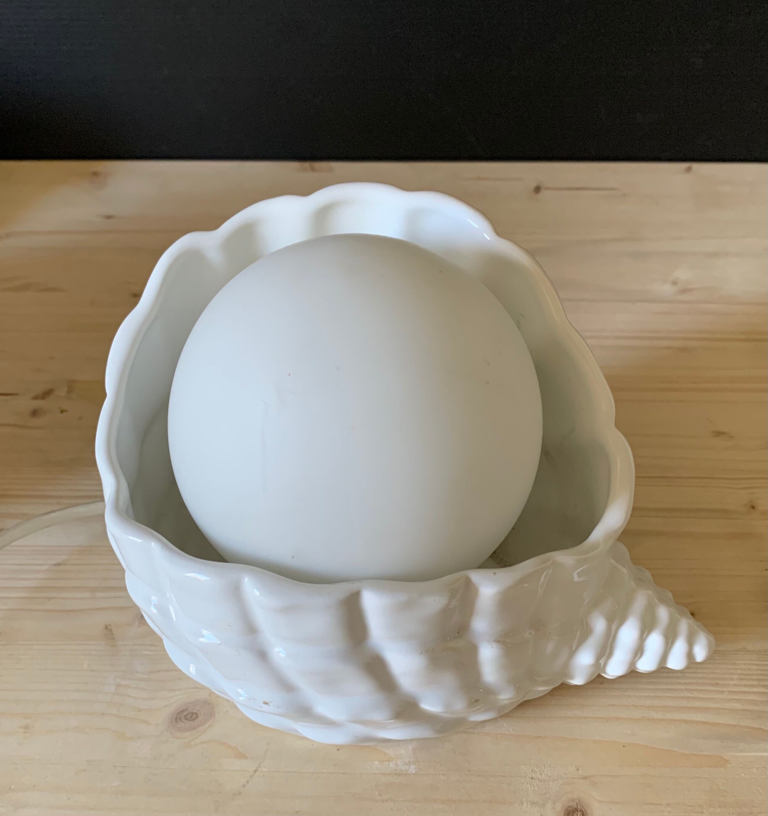 Shell lamp