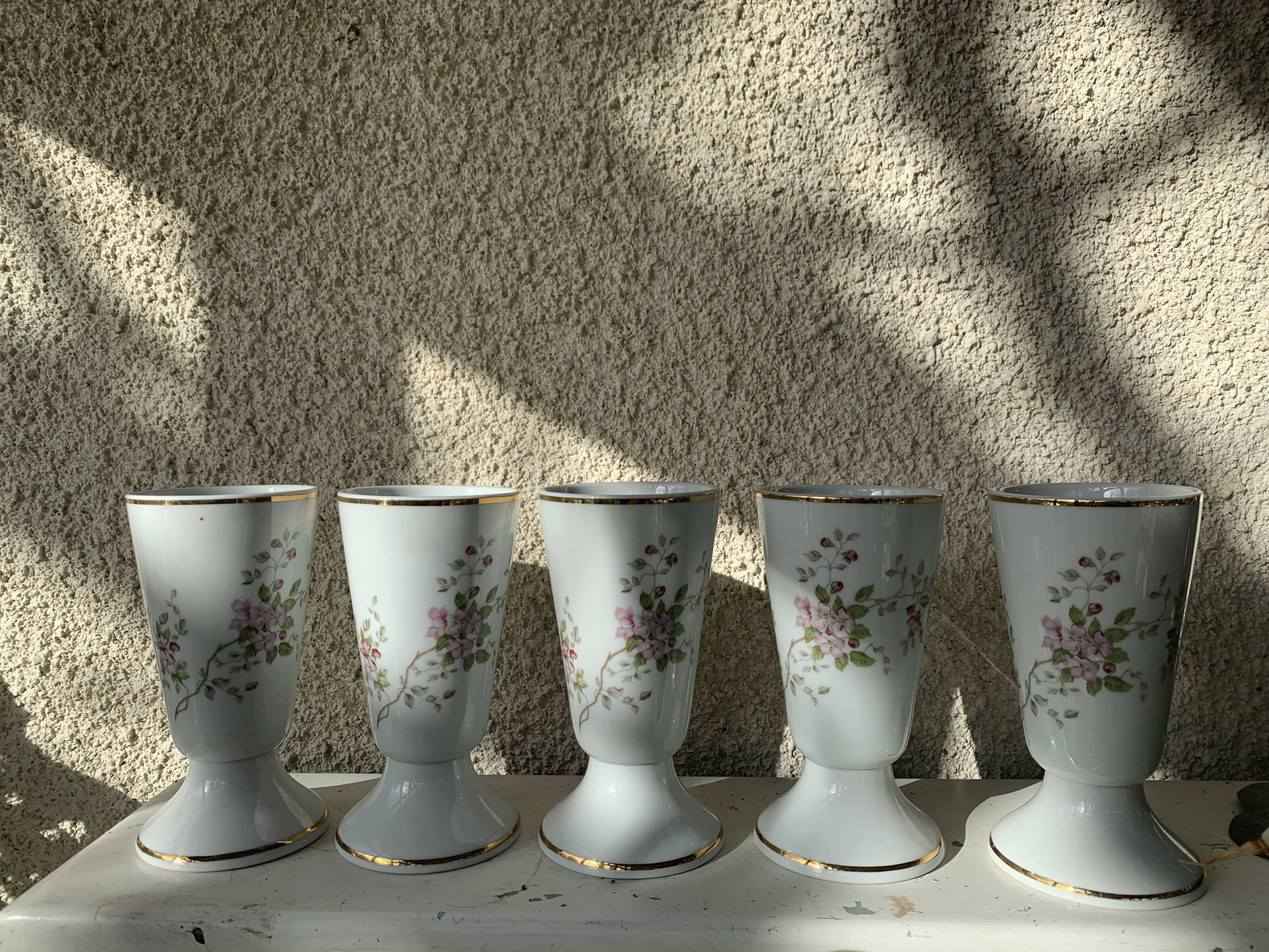 5 mazagrans porcelain vintage rosehip pattern