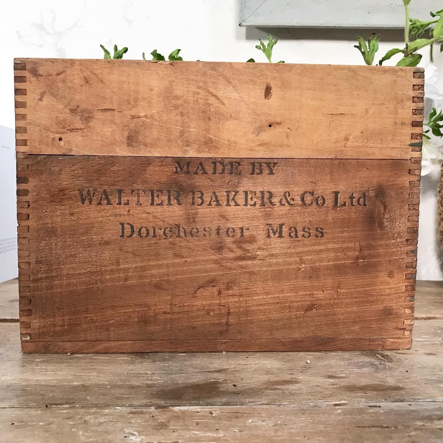 Wooden box early XXth