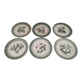 Set of 6 dessert plates in old green earthenware late 18th century frugal décor