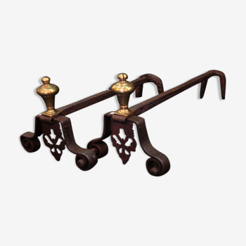 Pair of andirons in gilded bronze and iron of the 19th
