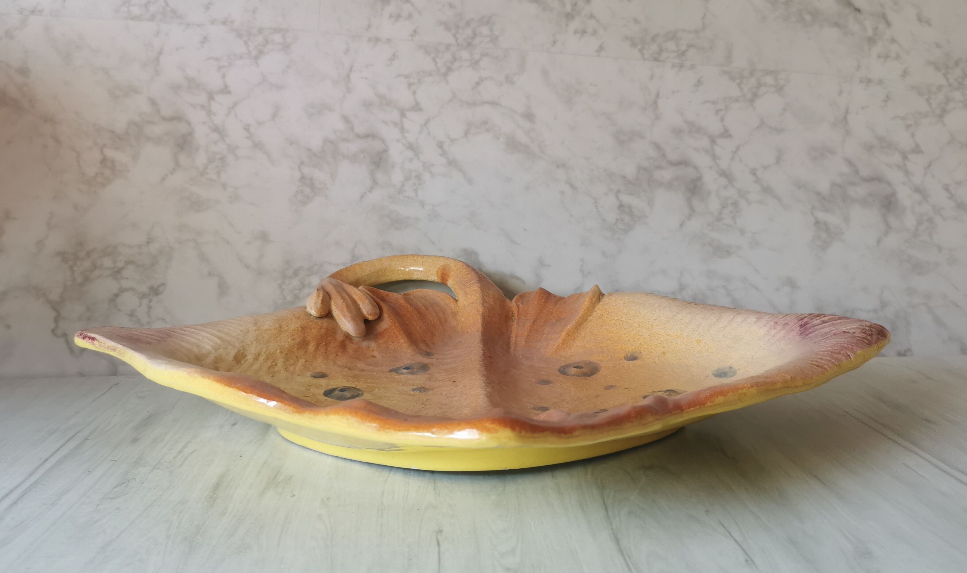 Zoomorphic dish ray