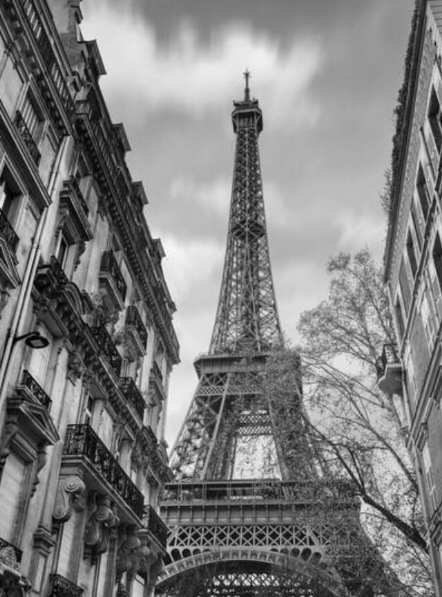 The Eiffel Tower