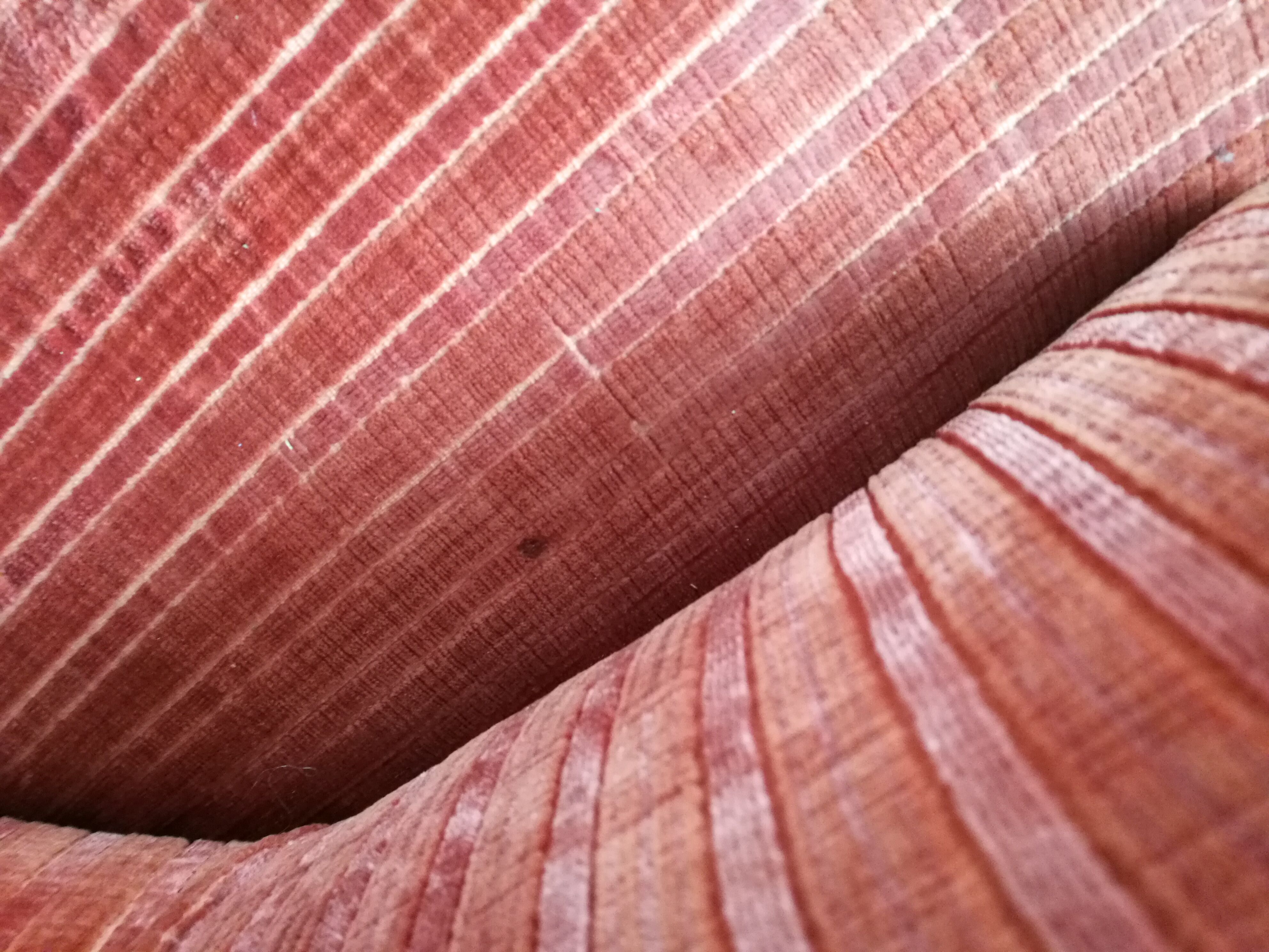 Orange velvet toad armchair