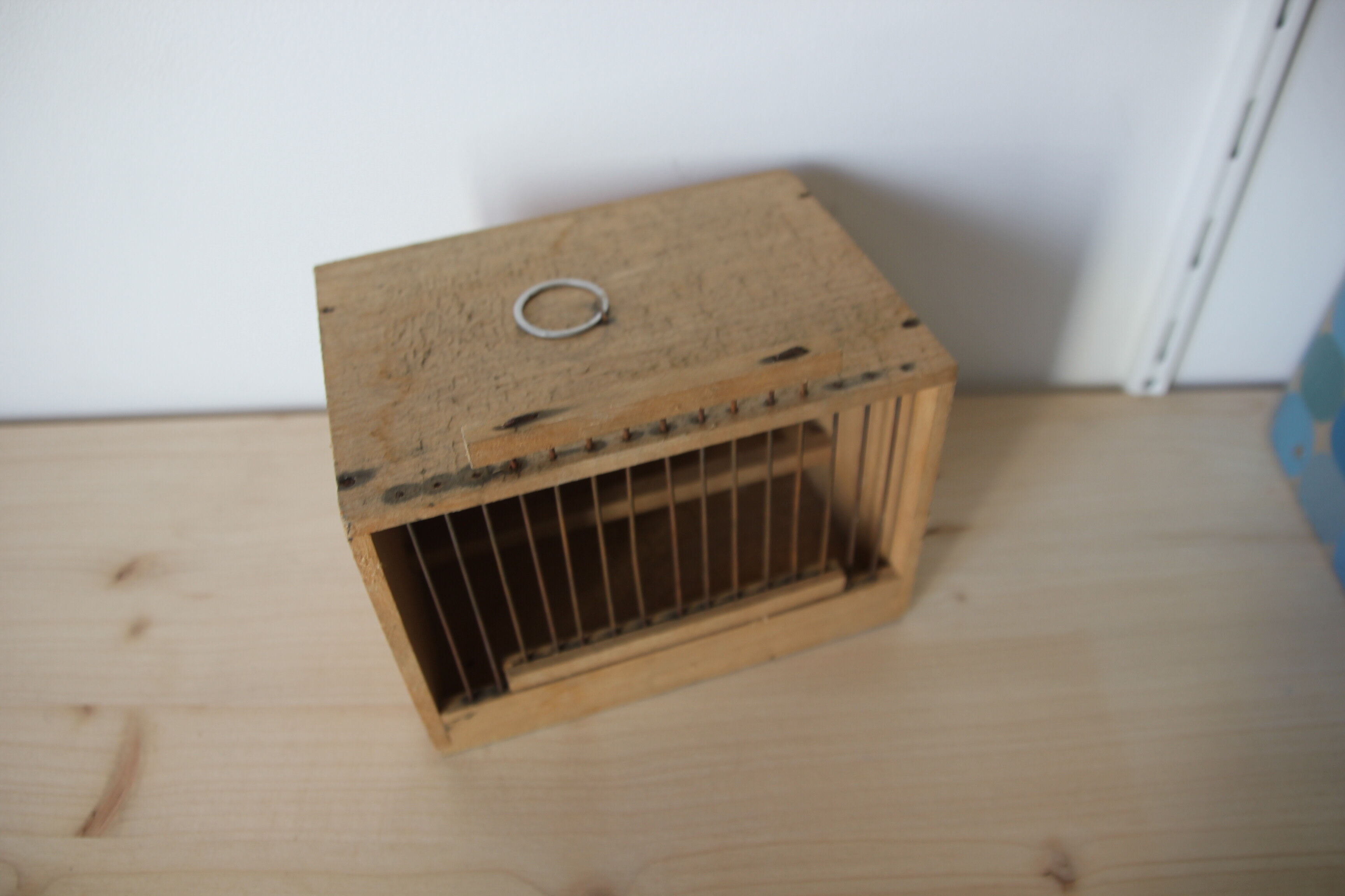 Cage à oiseau