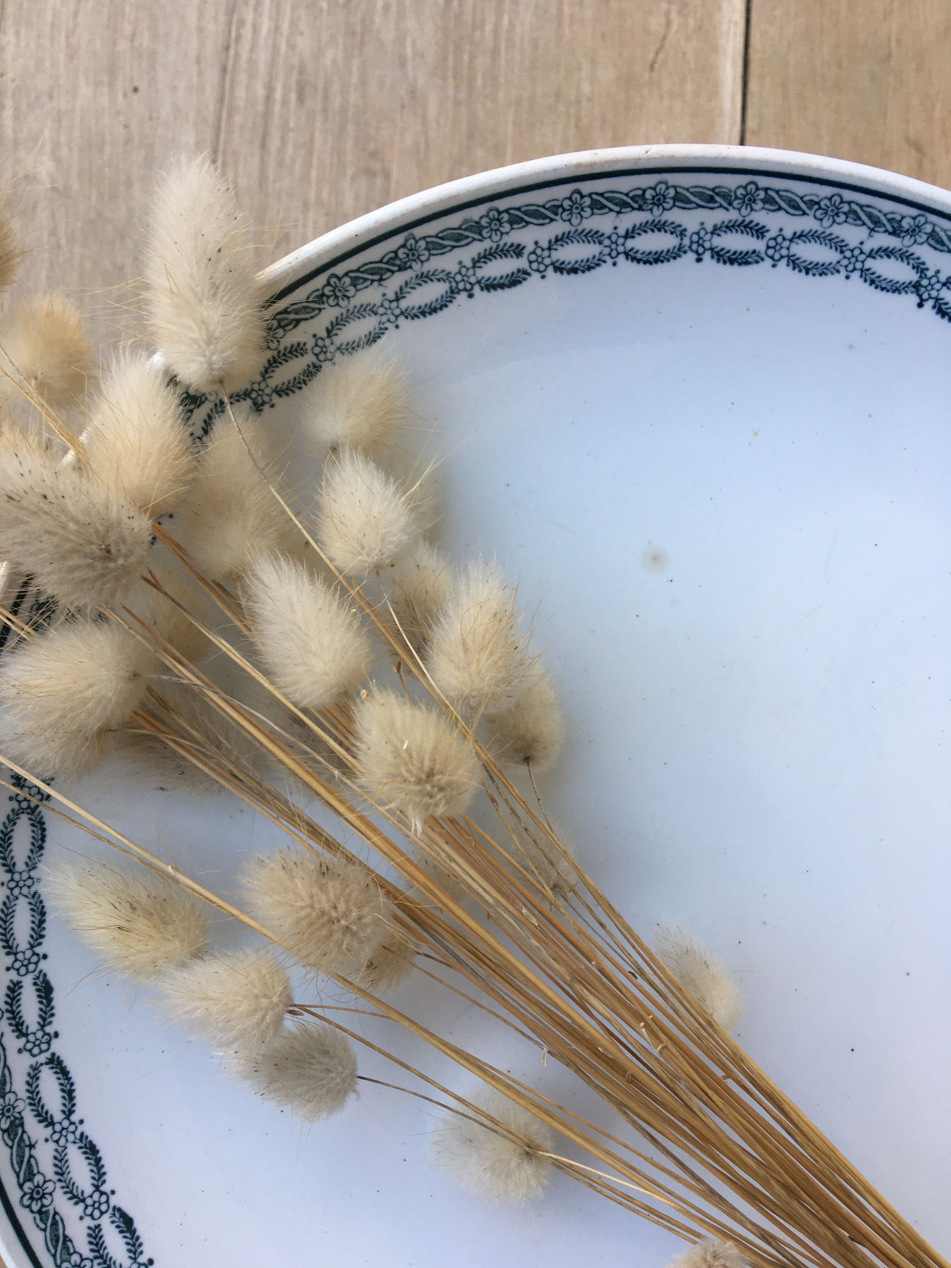 Standing iron earth compotier