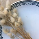 Standing iron earth compotier