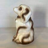 Piggy bank to break dog