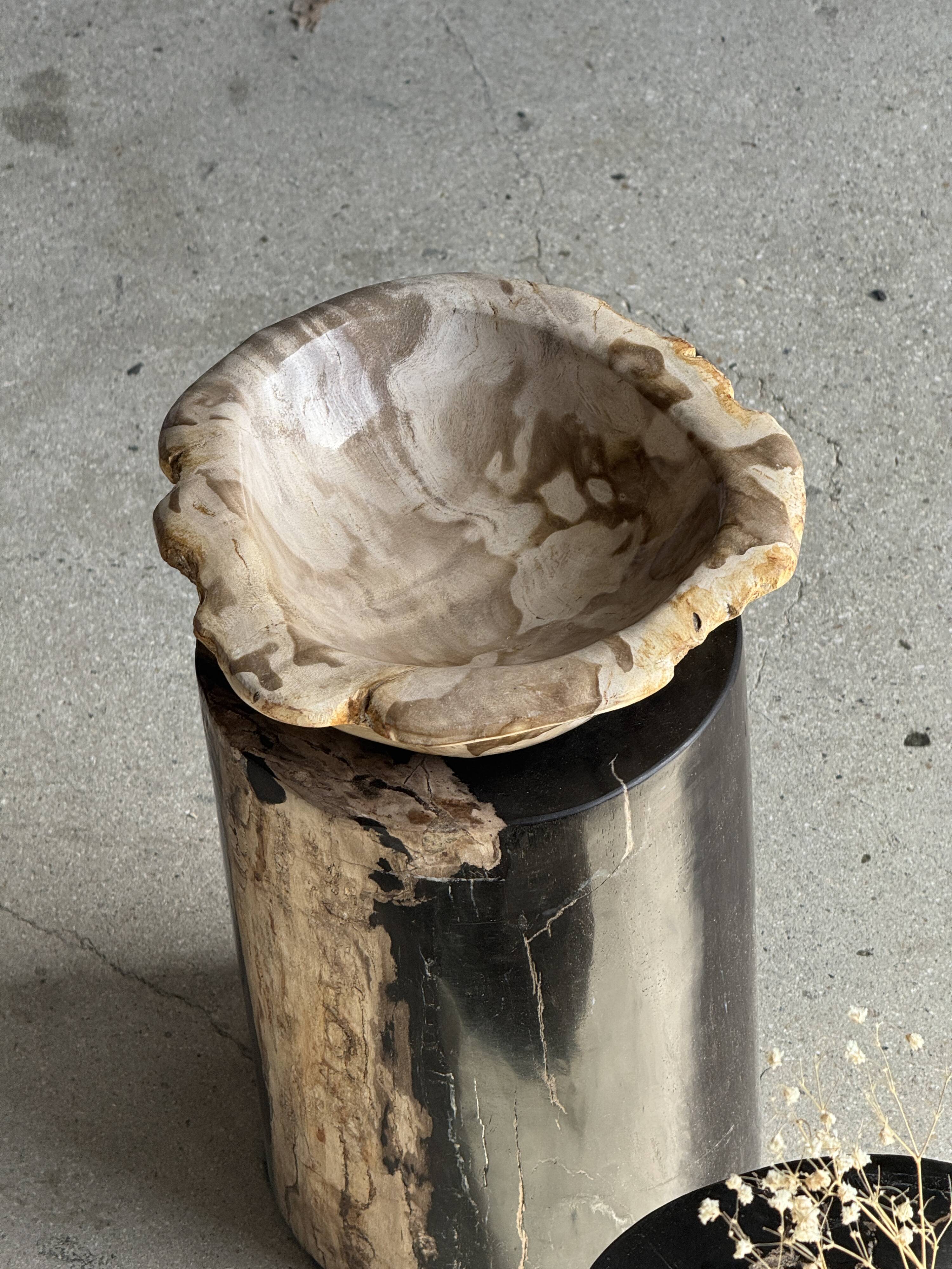 Small side table in black petrified wood with stripes and beige sides H28 D18.