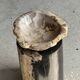 Small side table in black petrified wood with stripes and beige sides H28 D18.